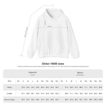 Recess Skate Co. Hoodie — Vintage Style Skateboarding Pullover